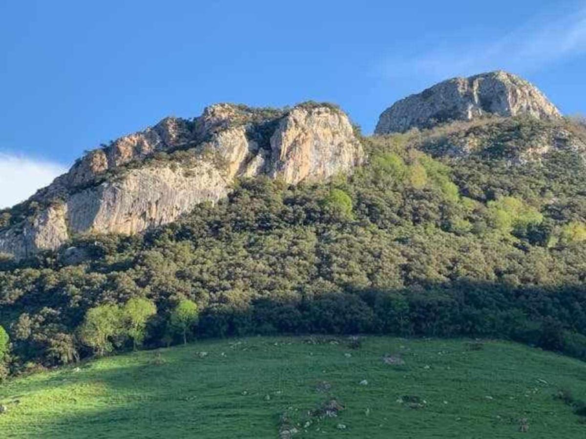 Cumbres De Los Picos Apartamento Los Abedules Poo  Экстерьер фото